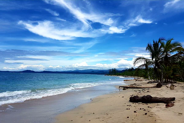 Costa Rica im Schnelldurchlauf: Manuel Antonio, Puerto Viejo und Cahuita