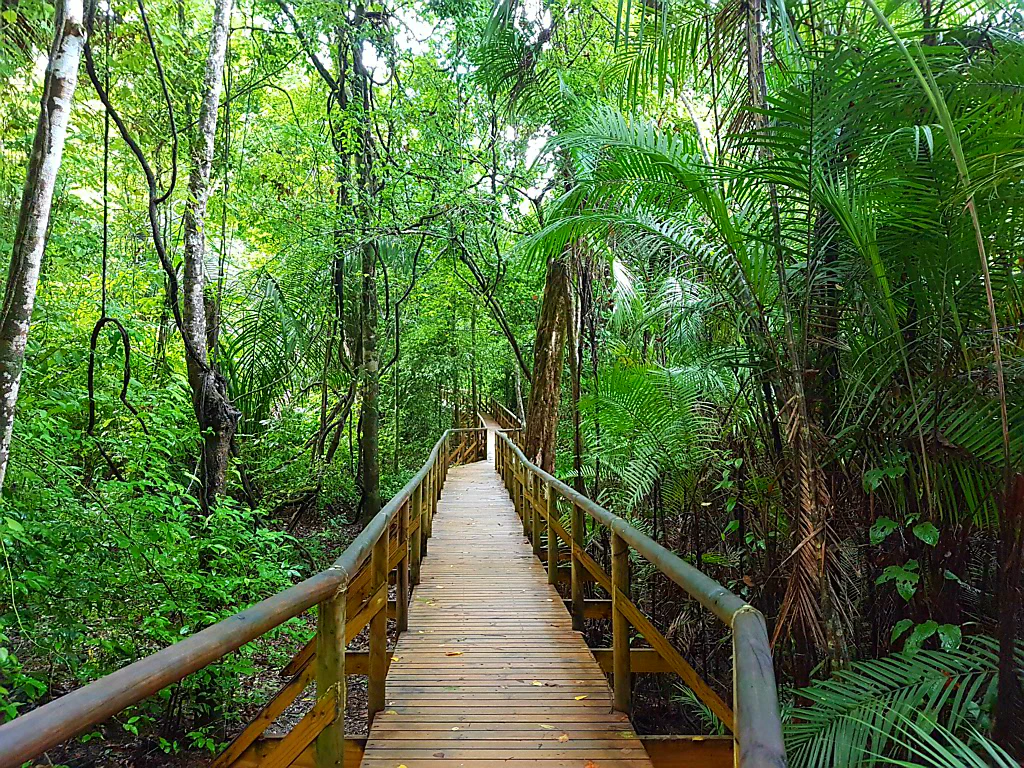 Hat irgendwie nicht so viel Unberührte-Natur-Flair...