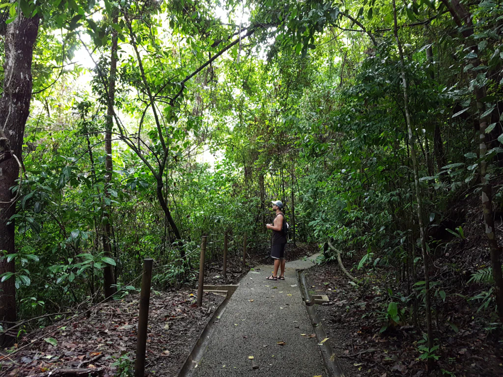 Jan hat einen Specht entdeckt.
