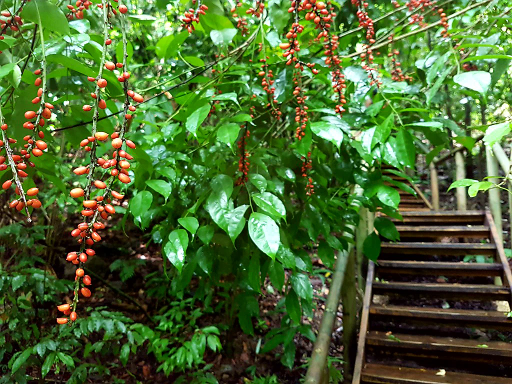 Traumhafter Blick aufs Meer