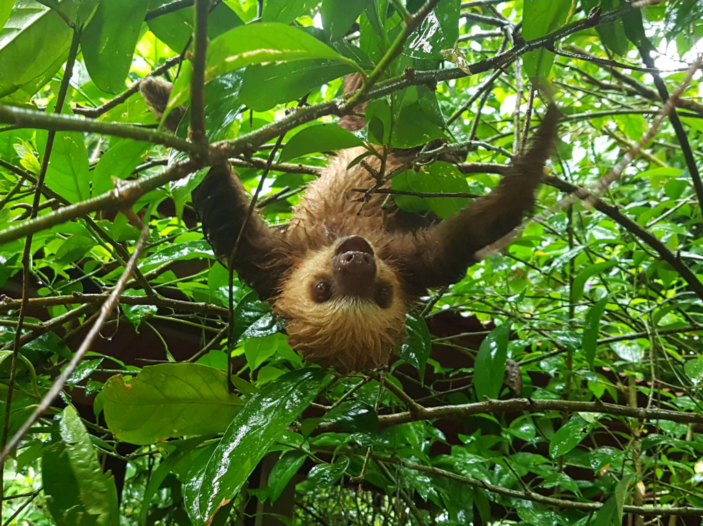 Ich freue mich auch Dich zu sehen!