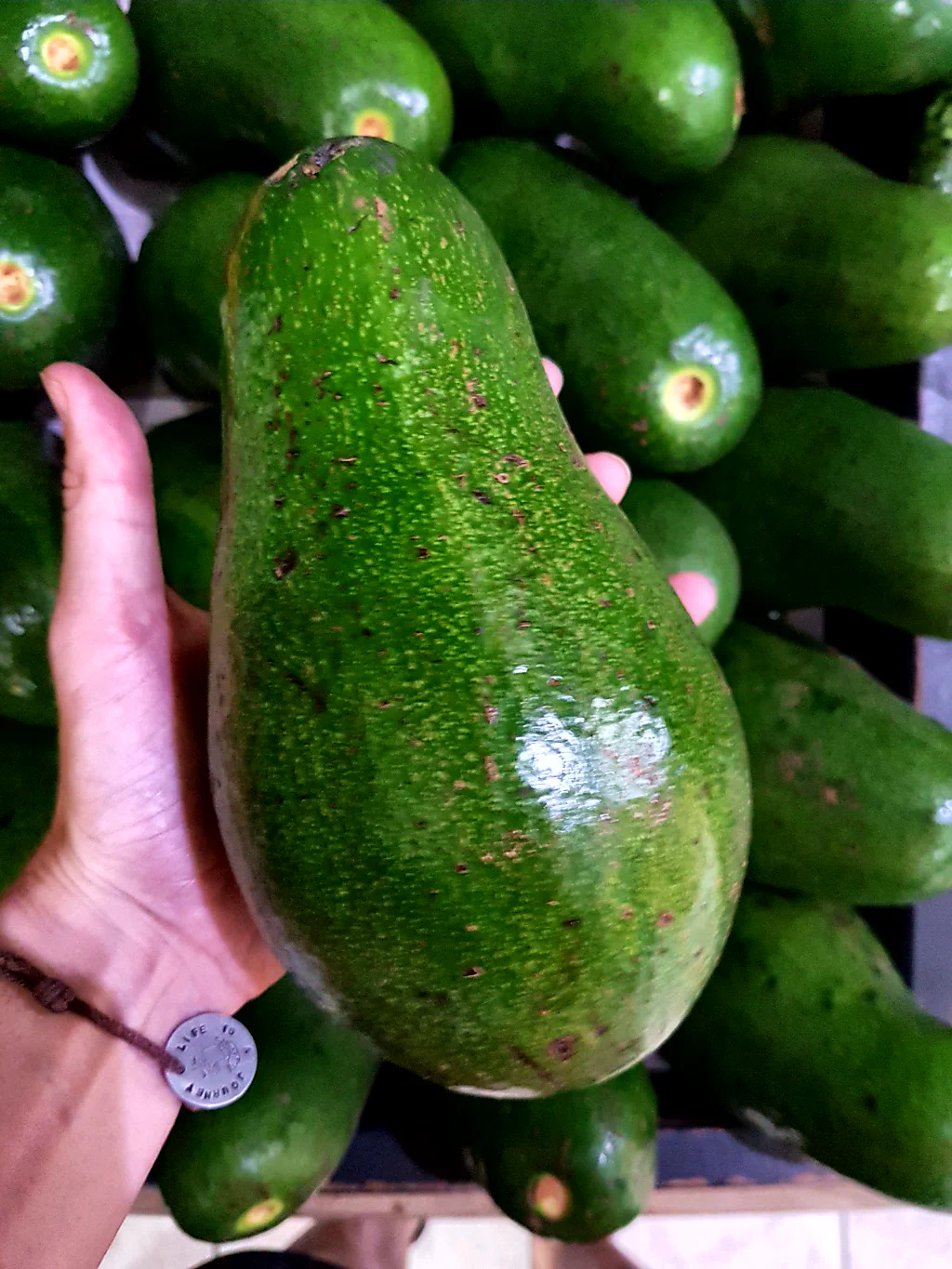 Und noch riesigere Avocados!