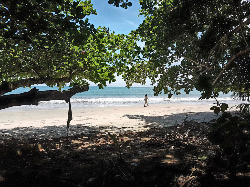 Wanderweg direkt am Meer