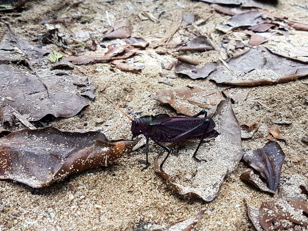 Sieht man nicht - aber sie war riesig!