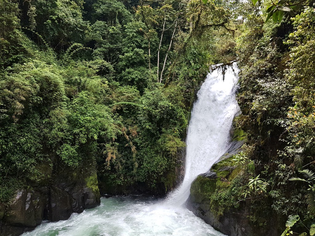 Freiwilligenarbeit im Nebelwald Costa Ricas