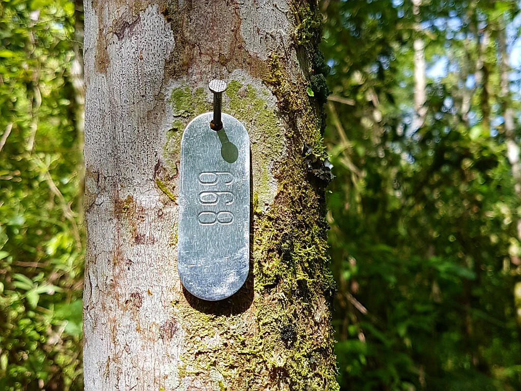 Arbeitsplatz mitten im Grünen