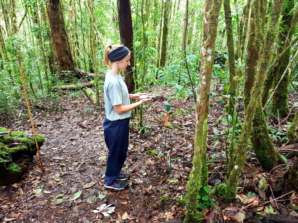 Ich messe den Lichteinfall...