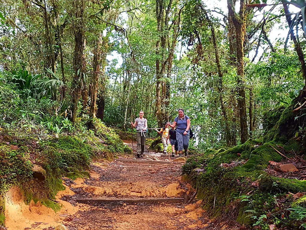 Morgenstimmung auf dem Wanderweg