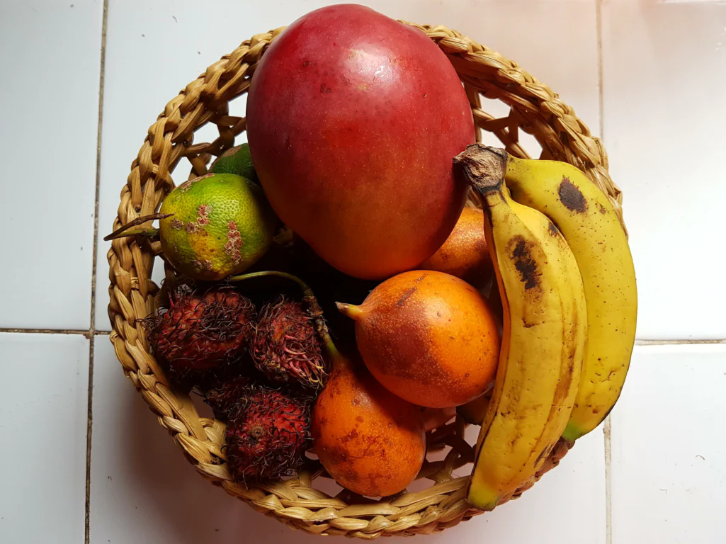 Immer ein frisch gefüllter Obstkorb ist unserer Küche