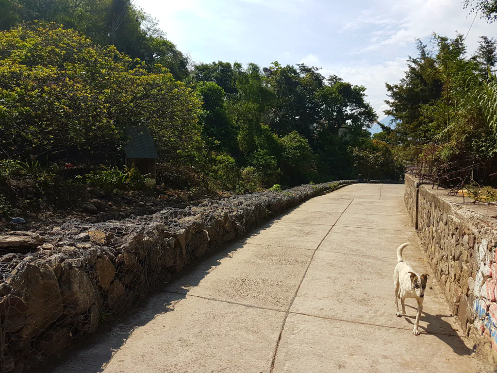 Abseits der Touri-Gasse liegt der Hund begraben...