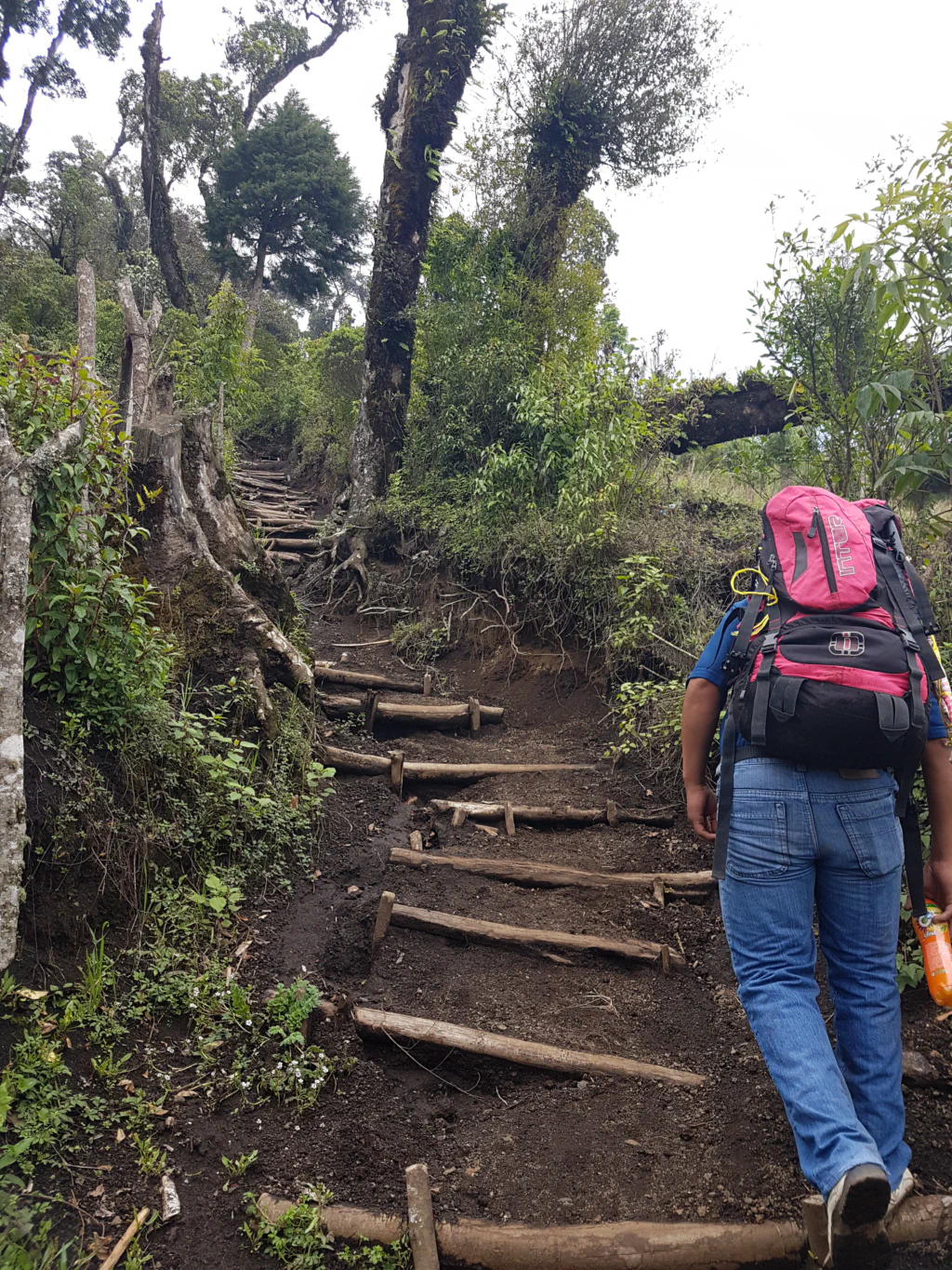 Trotz Regenzeit waren die Wege top!