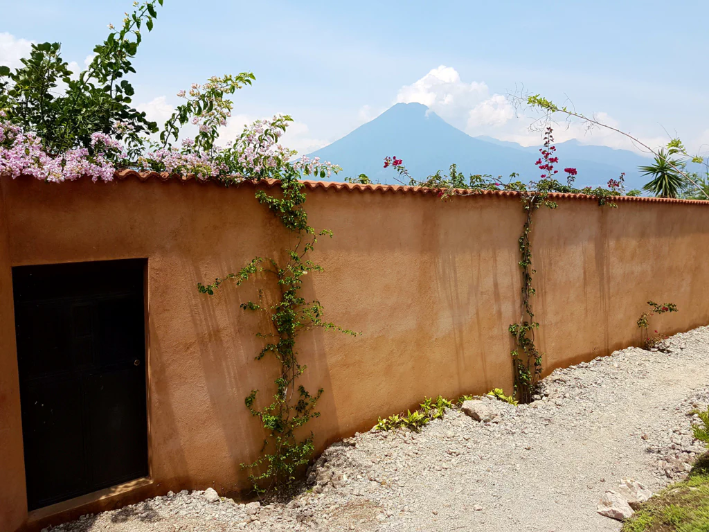Grünes Paradies am See