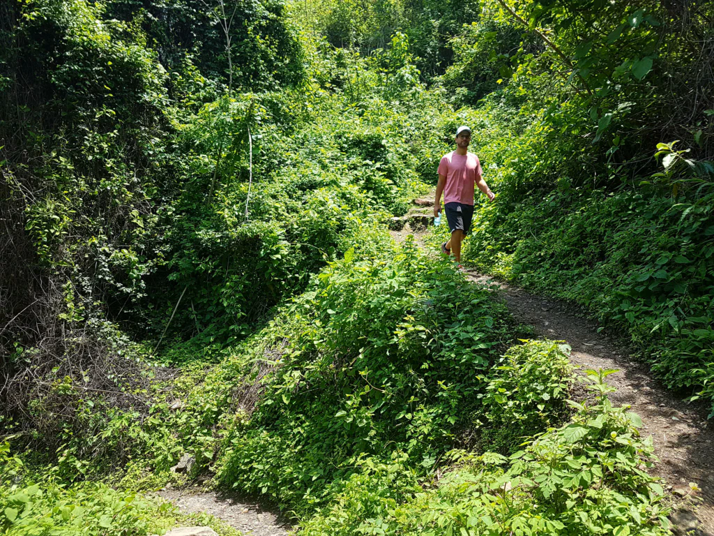 Traumhafte Aussichten beim Wandern