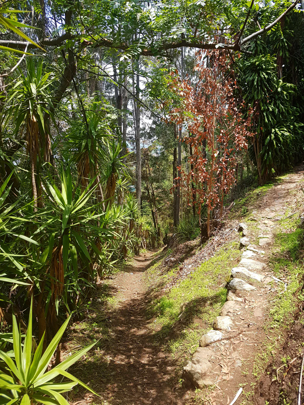 Wandern wie es sein soll!