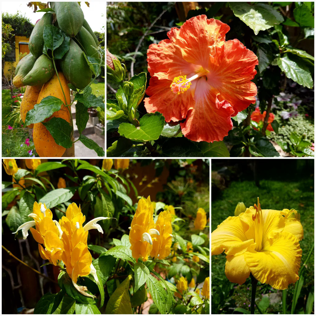 Botanischer Garten vor der Haustür