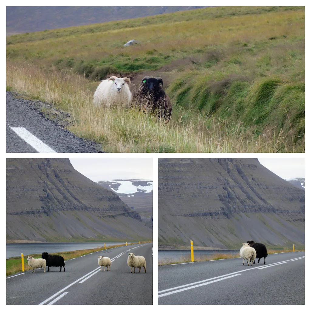 Einsame Fjordlandschaft