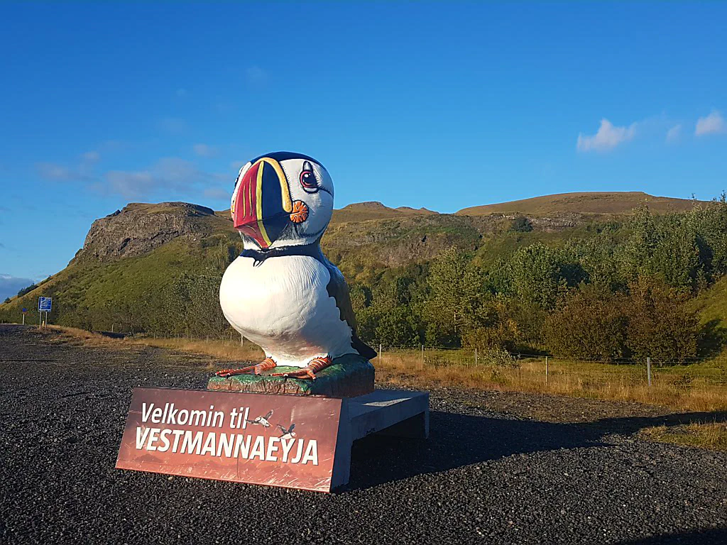 Papageientaucher hatten leider nicht Saison...