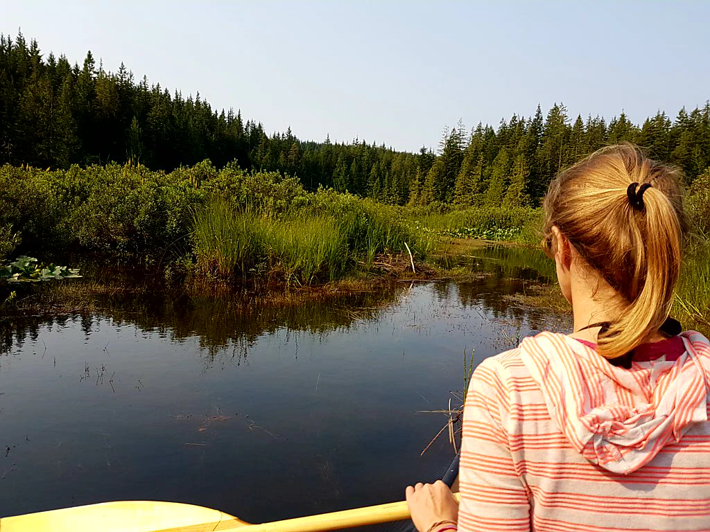 Morgendliches Paddeln durch die Wildnis