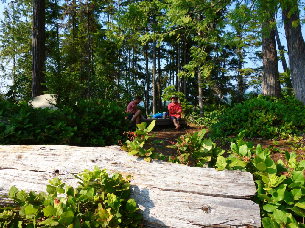 Campsite Brewster Point