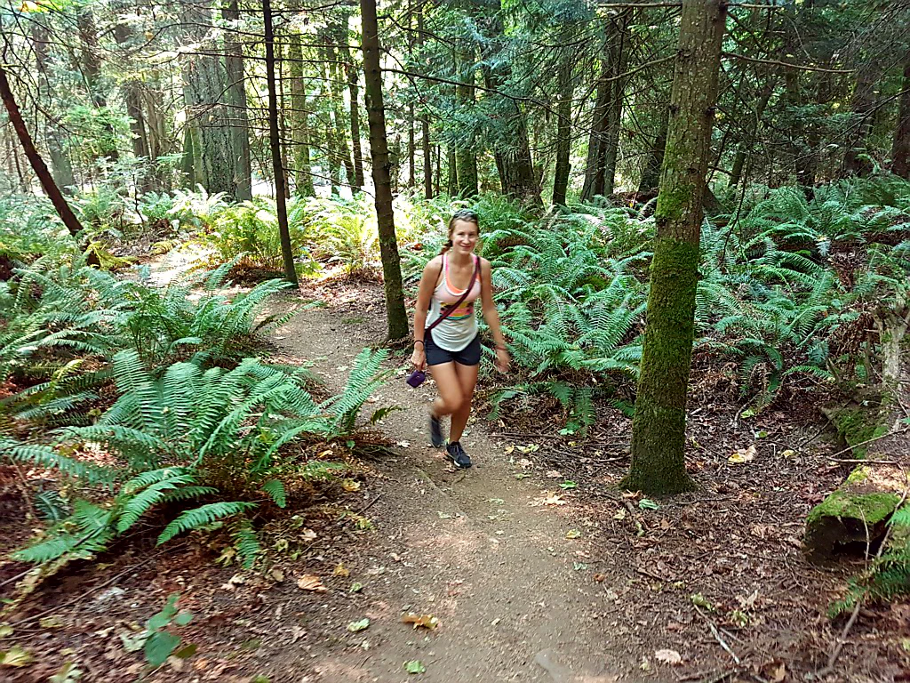 Auf dem Weg nach oben