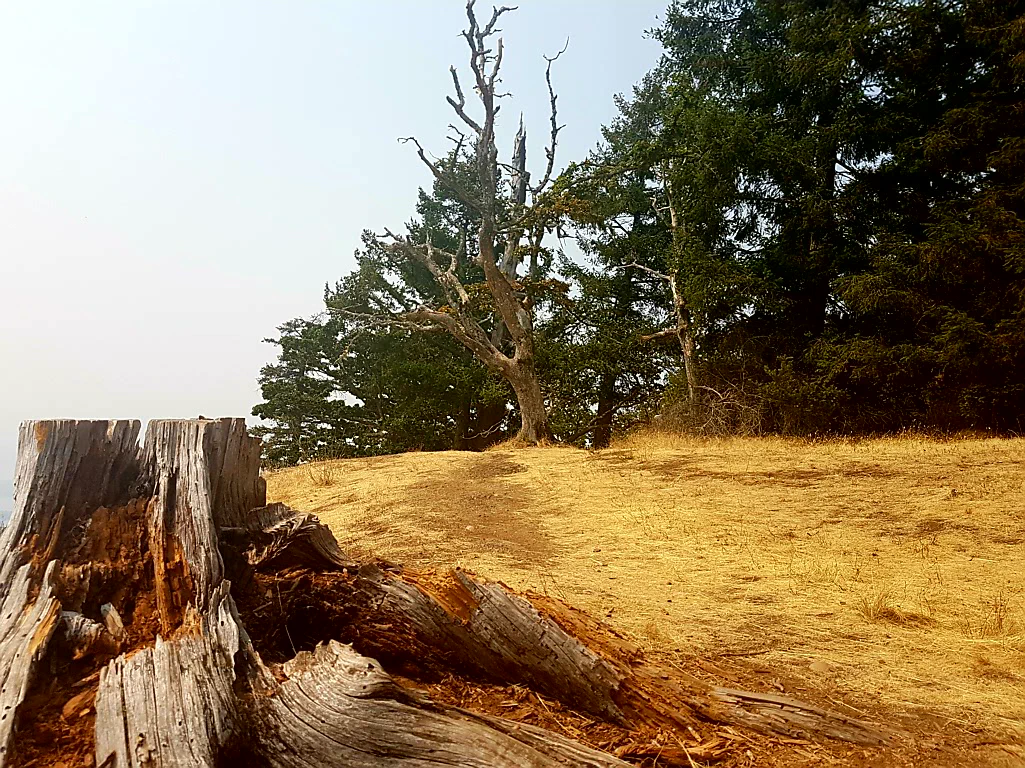 Geschafft - Gipfelglück!