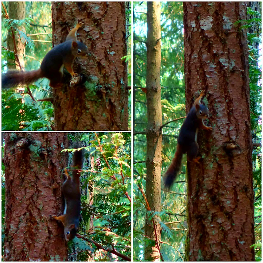 Blick auf die umliegenden Inseln