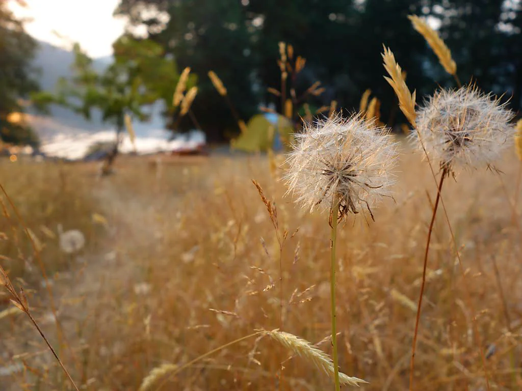Unser gemütlicher Zeltplatz