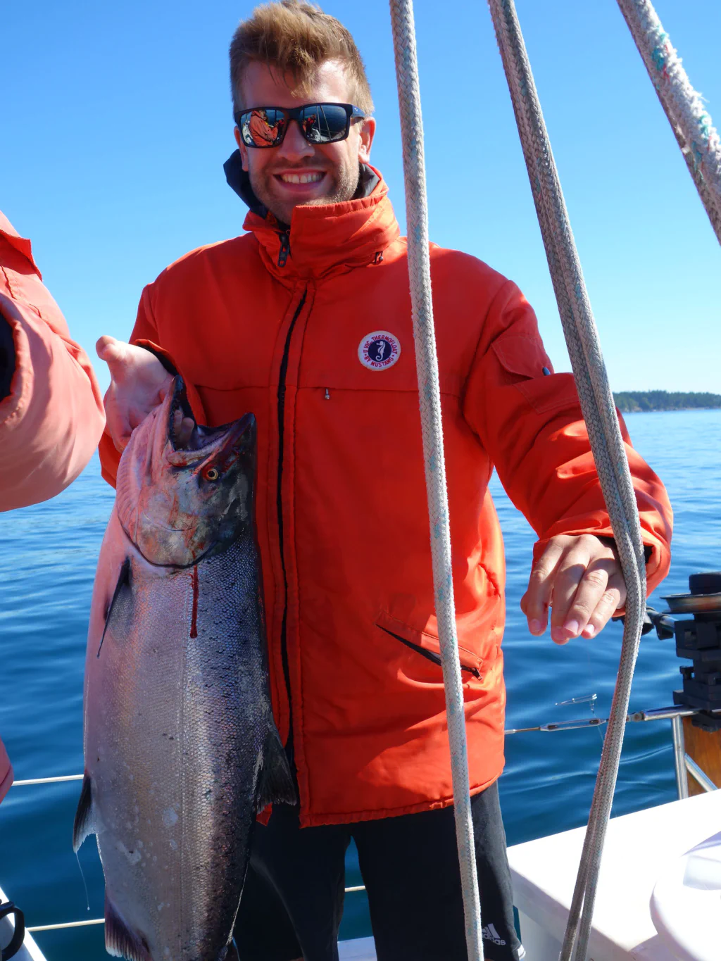 Der Königslachs in all seiner Pracht