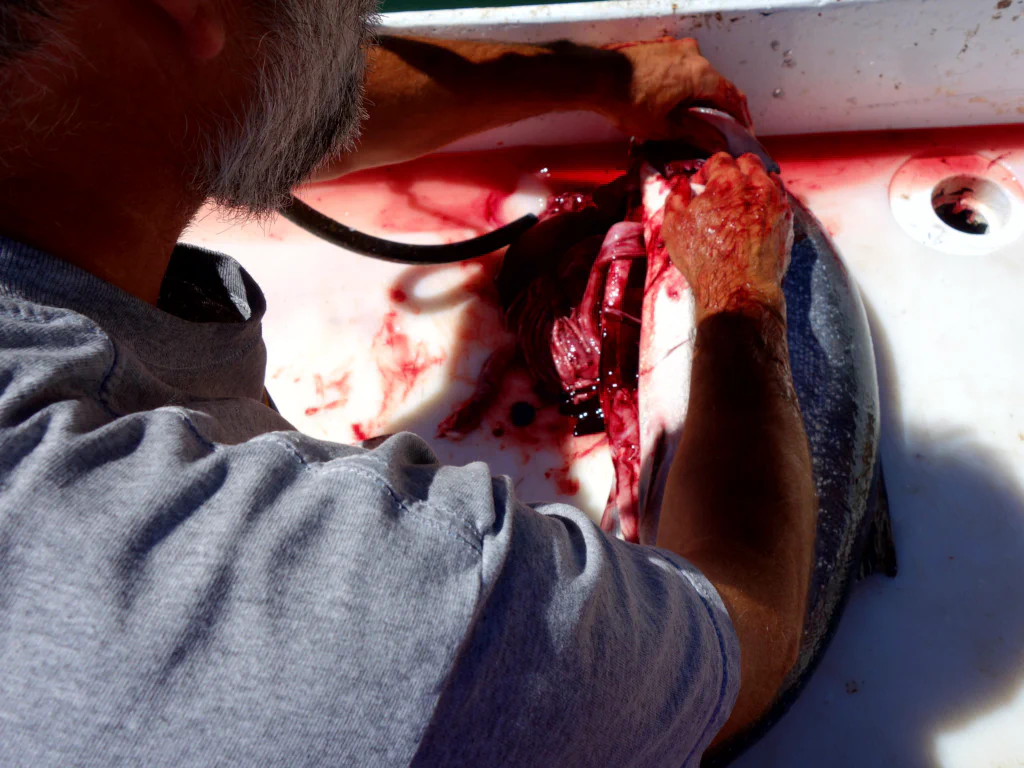 Sonnenuntergang am Hafen