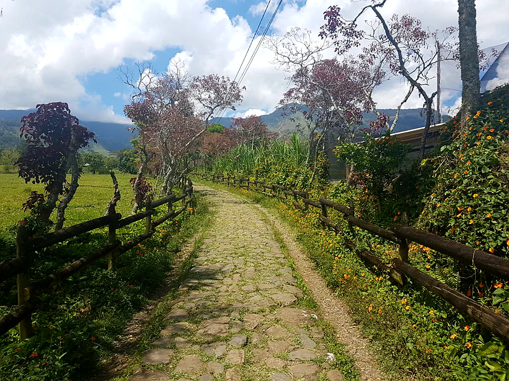 Wer würde diesem Weg nicht folgen?