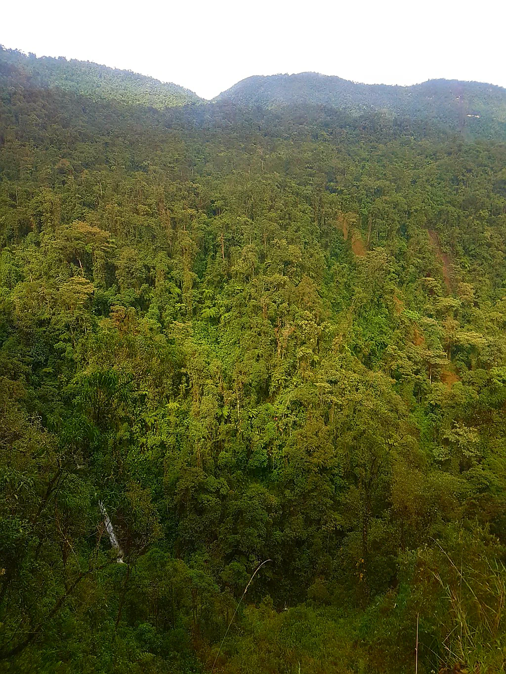 ...den Abhang immer im Blick!