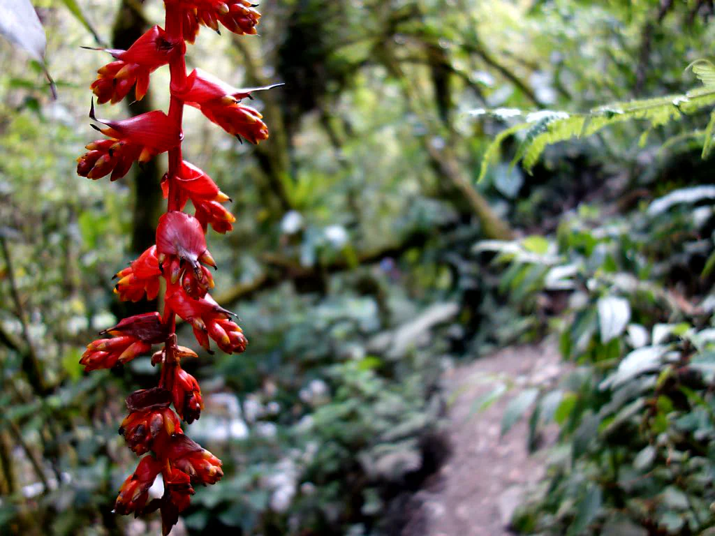 Dem Fluss entlang bergauf