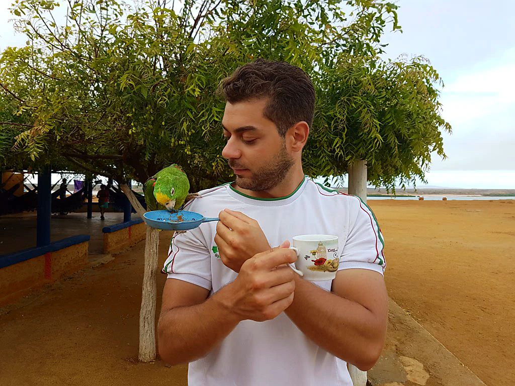 Lorenzo füttert das Haustier der Unterkunft, das beängstigend gut wie ein Kind 'Mama' schreien kann.