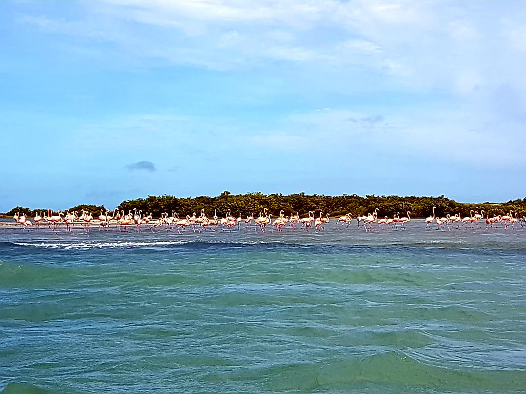Jedes Mal einfach schön!