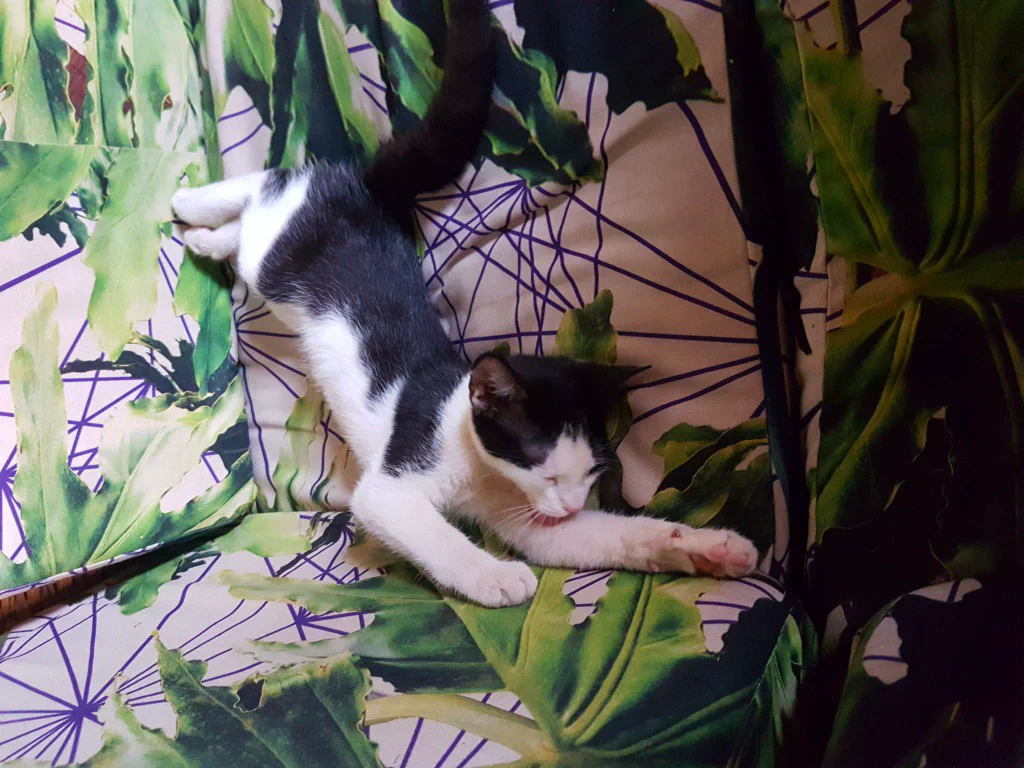 So sollten unsere ersten Tage in Kolumbien eigentlich aussehen...