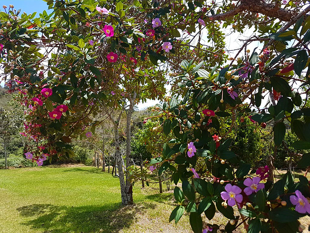 Benediktiner-Kloster mit Traumlage
