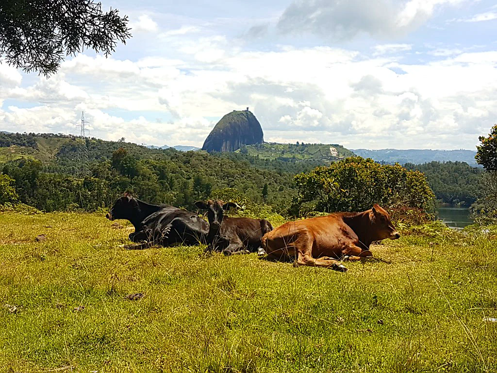 Der Weg will kein Ende nehmen