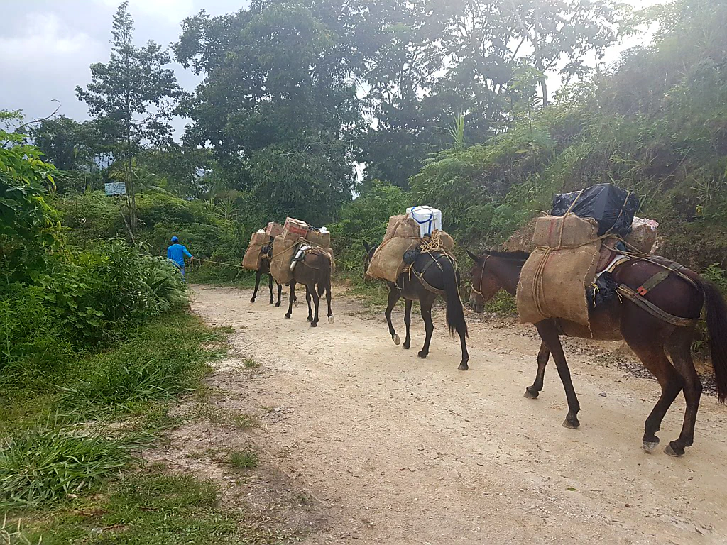 Unsere Verpflegung ist unterwegs!