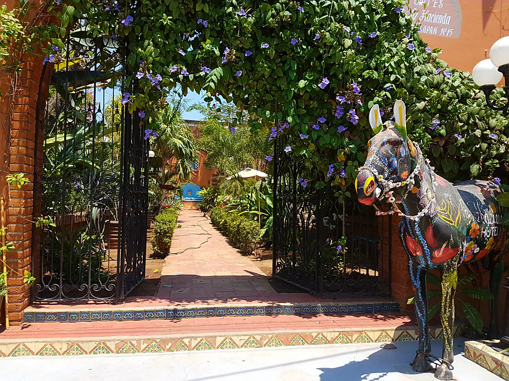 Palmen und blauer Himmel