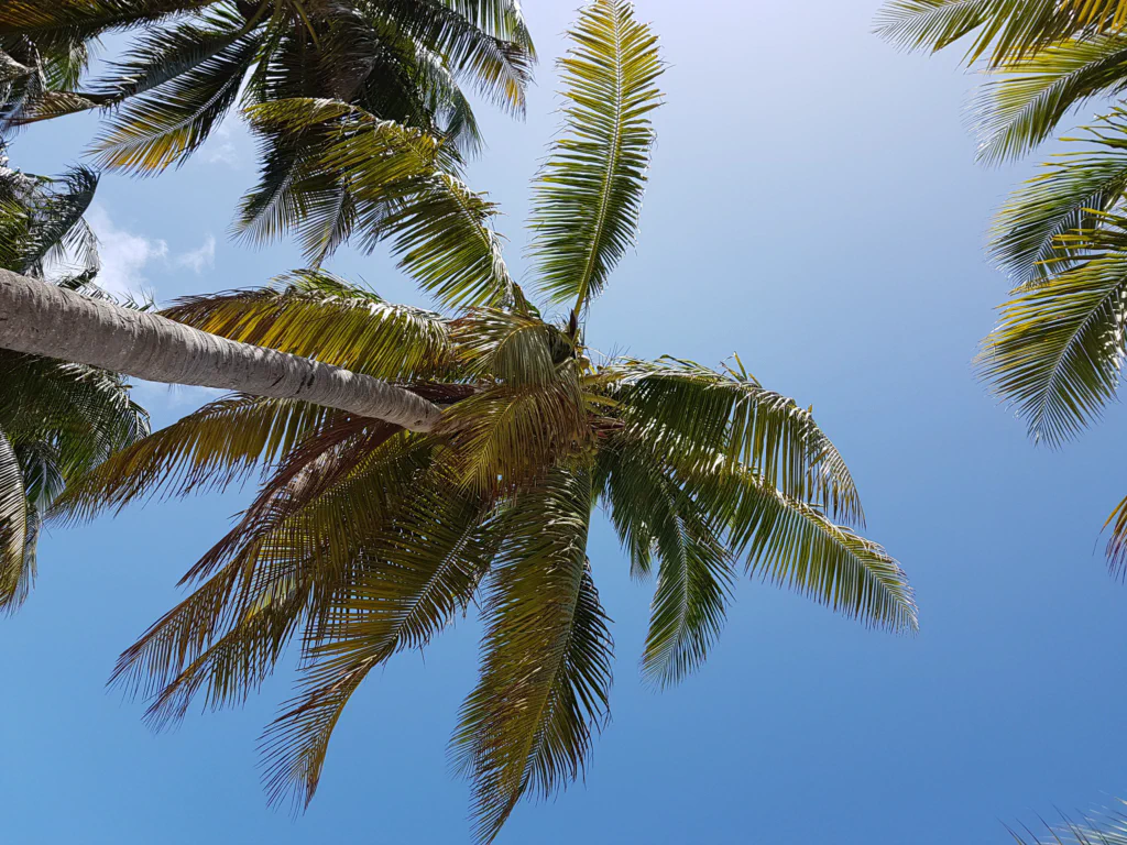 Ich liebe diesen Ausblick!