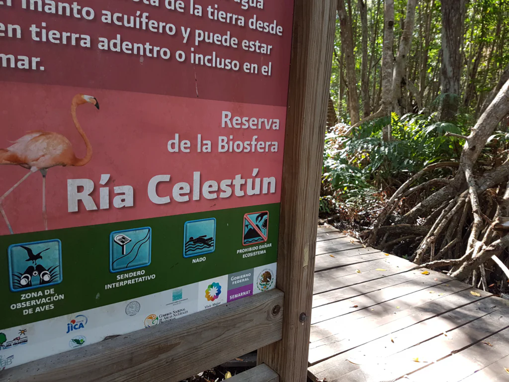 Früh morgens in Celestún