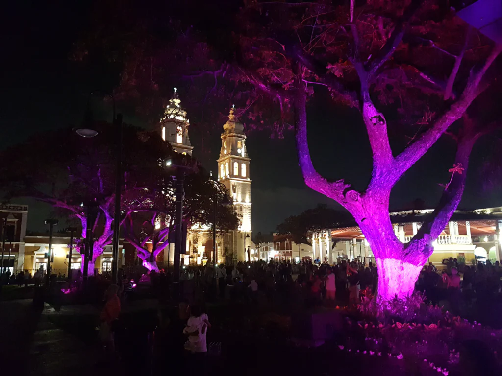 Marktplatz mit Kathedrale