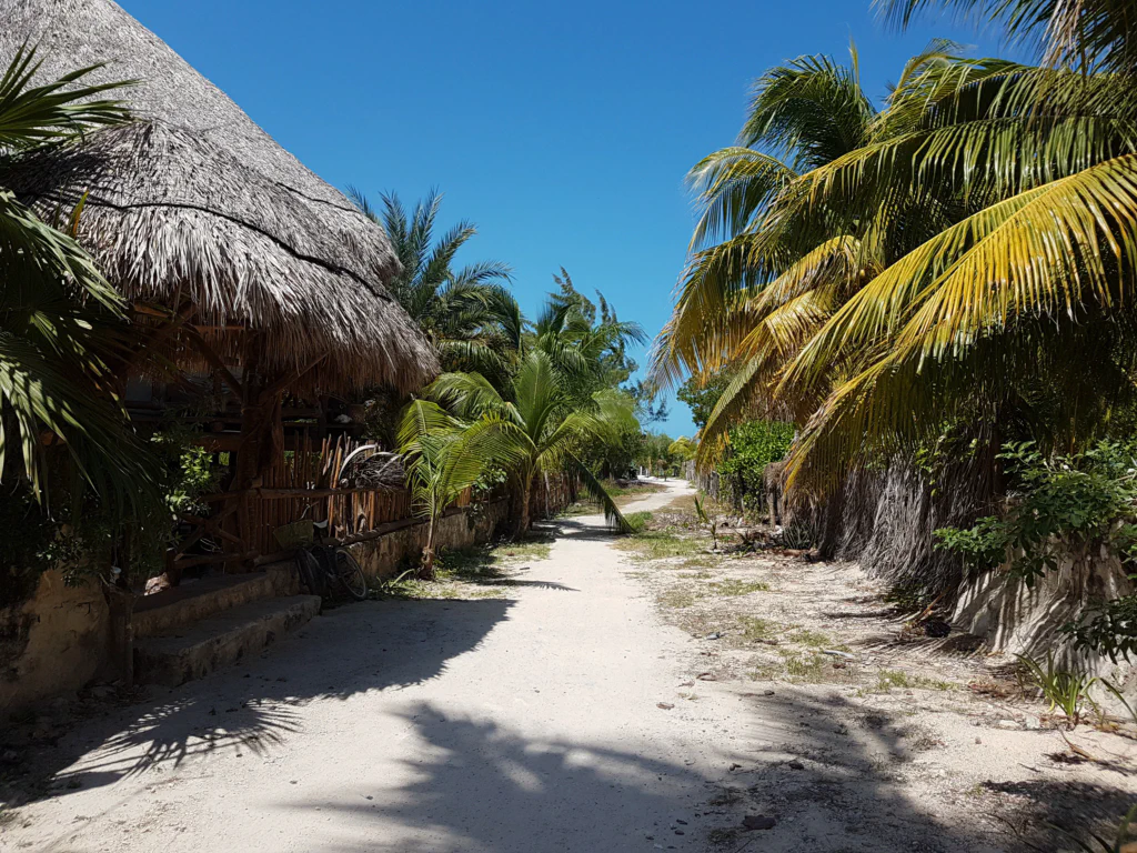 Unser Weg zum Strand...