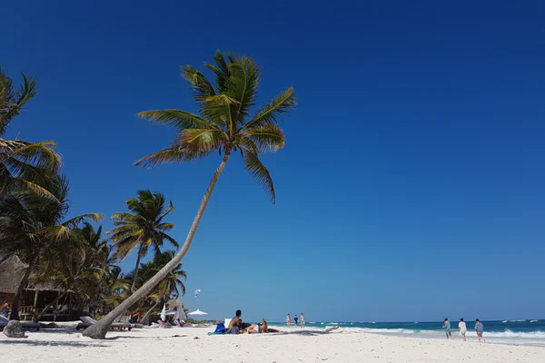 Mexiko: von Tulum über Cobá nach Valladolid