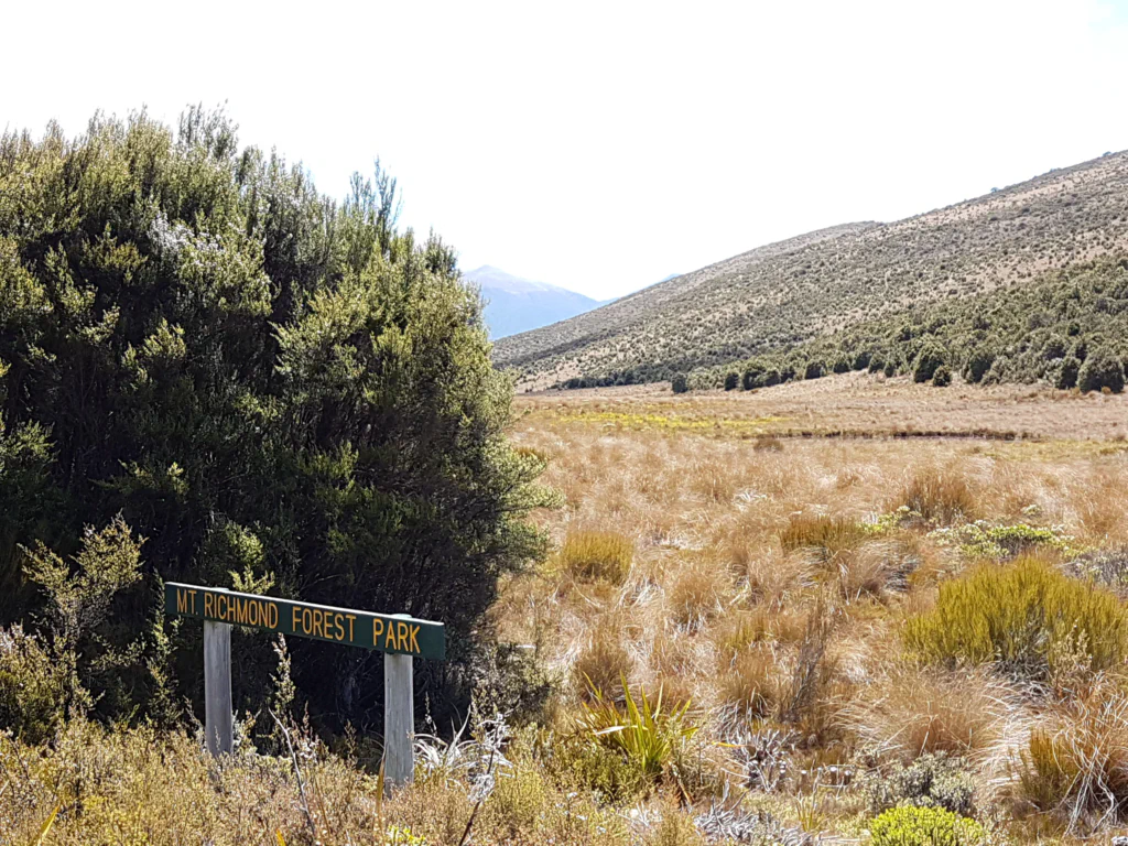 Einkauf für neun Tage im geplünderten Four Square