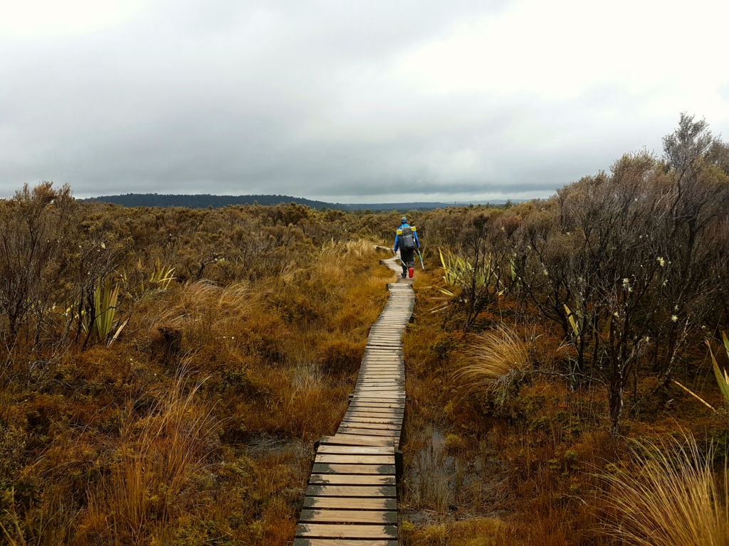 Whakapapaiti Track