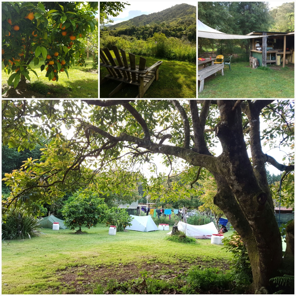 Flying Fox Glamping und Camping