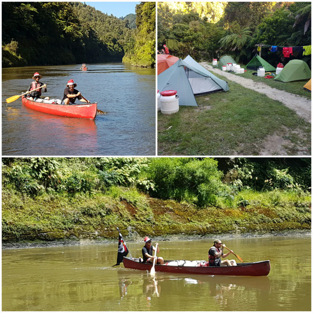 Regenwald am Flussufer