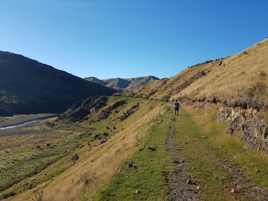 Typisch neuseelaendische Landschaft