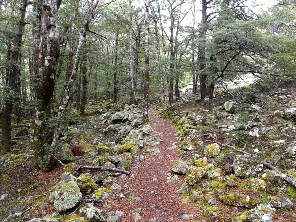 Wandern durch den Greenstone Track